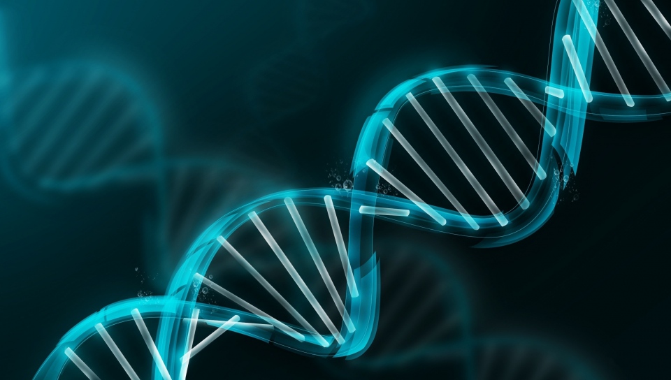 genetica